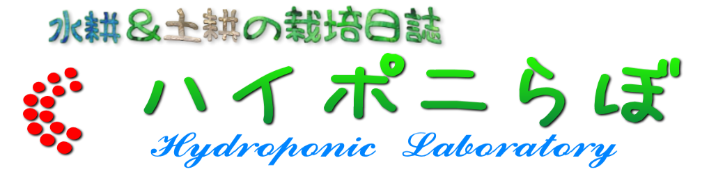 水耕＆土耕の栽培日誌「ハイポニらぼ」