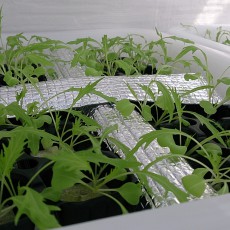 生育状況-20141004