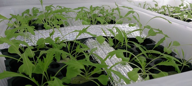 生育状況-20141004