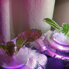 生育状況-20141008