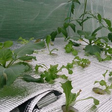 生育状況-20141012