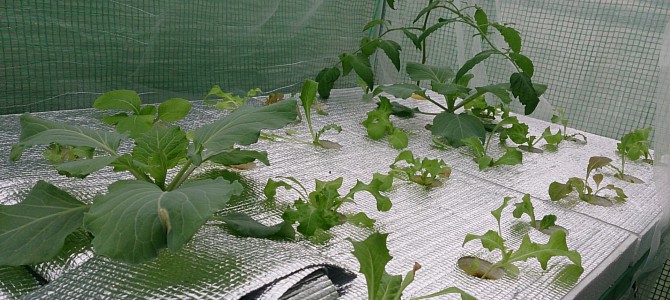 生育状況-20141012