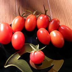 今日の収穫-20141017