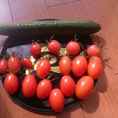 今日の収穫-20141019