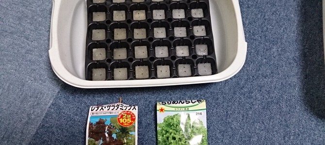 種まき-20141019 種まき-20141019