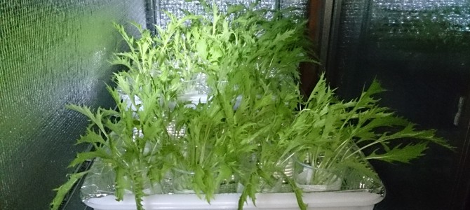 生育状況-20141021