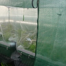 生育状況-20141024