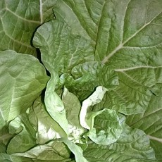 生育状況-20141029