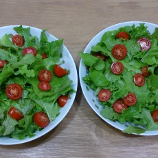 今日の収穫-20141026