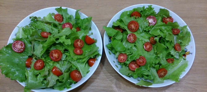 今日の収穫-20141026 今日の収穫-20141026