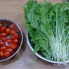 今日の収穫-20141031