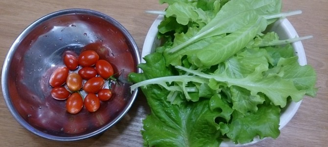 今日の収穫-20141101