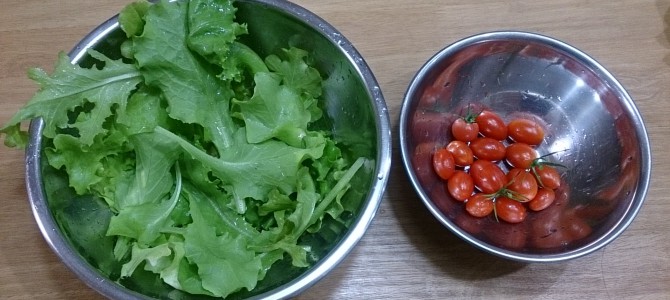 今日の収穫-20141102