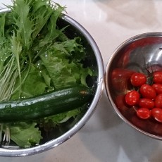 今日の収穫-20141108 今日の収穫-20141108