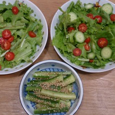 今日の収穫-20141109 今日の収穫-20141109