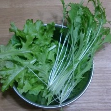 今日の収穫-20141111 今日の収穫-20141111