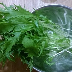 今日の収穫-20141112 今日の収穫-20141112