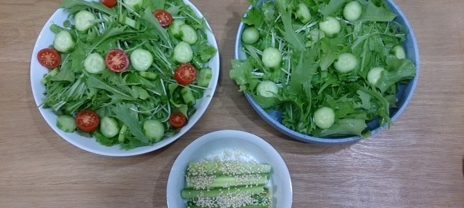 今日の収穫-20141115