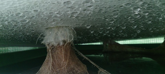 生育状況-20141117