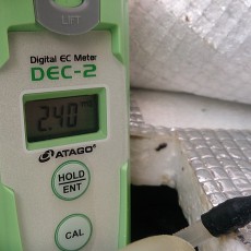 今日のEC値-20141117 今日のEC値-20141117