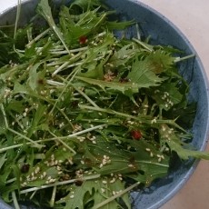 今日の収穫-20141117 今日の収穫-20141117