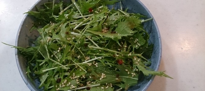 今日の収穫-20141117