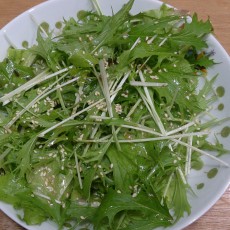 今日の収穫-20141118