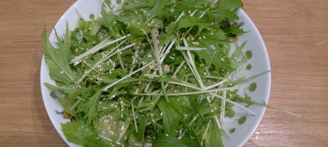 今日の収穫-20141118