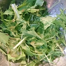 今日の収穫-20141121