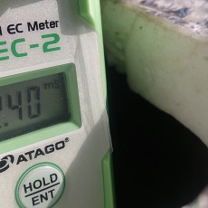 今日のEC値-20141122 今日のEC値-20141122