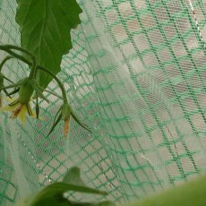 生育状況-20141124