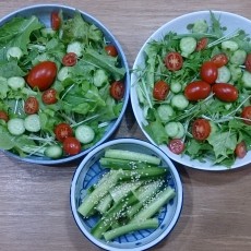 水耕栽培-20141128