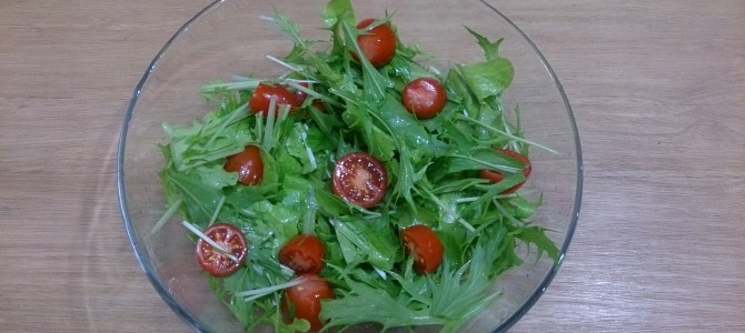 水耕栽培-20141130 水耕栽培-20141130