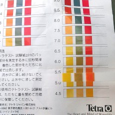 バルコニービニールハウス内のpH バルコニービニールハウス内のpH