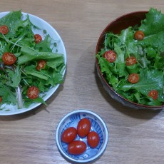 水耕栽培-20141208