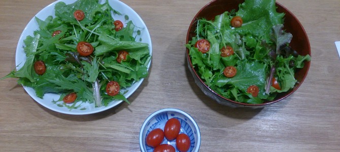 水耕栽培-20141208 水耕栽培-20141208