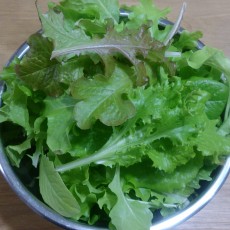 水耕栽培-20150111