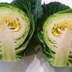 キャベツ-20150127