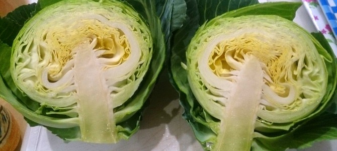 キャベツ-20150127