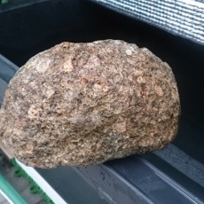 水耕栽培-20150222