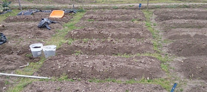 土耕栽培-20150221