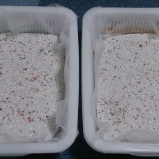 ベビーリーフを育てよう