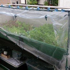 バルコニーのビニールハウスリニューアル