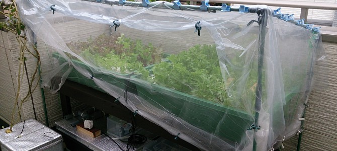 バルコニーのビニールハウスリニューアル