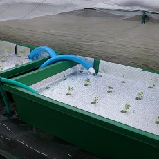 オーバーフロー栽培器のリニューアル