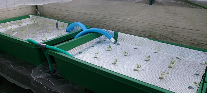 オーバーフロー栽培器のリニューアル