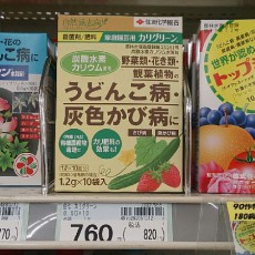 うどんこ病対策(カリグリーンとダイン) うどんこ病対策(カリグリーンとダイン)
