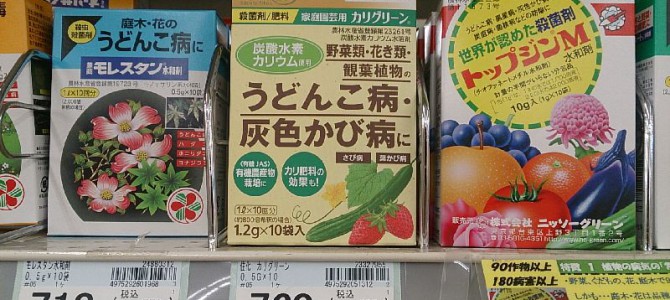 うどんこ病対策（カリグリーンとダイン）