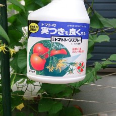 ミディトマトにトマトトーン