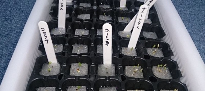 栽培日誌-20150916